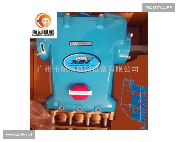 150多年只专注于水泵一件事,“隐形冠军”是这样炼成的! 150多年只专注于水泵一件事,“隐形冠军”是这样炼成的!